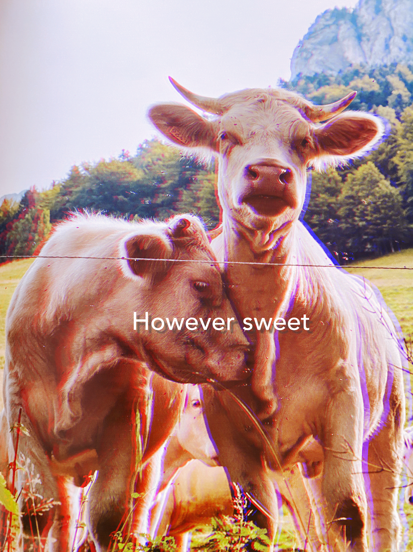 SWeeT|