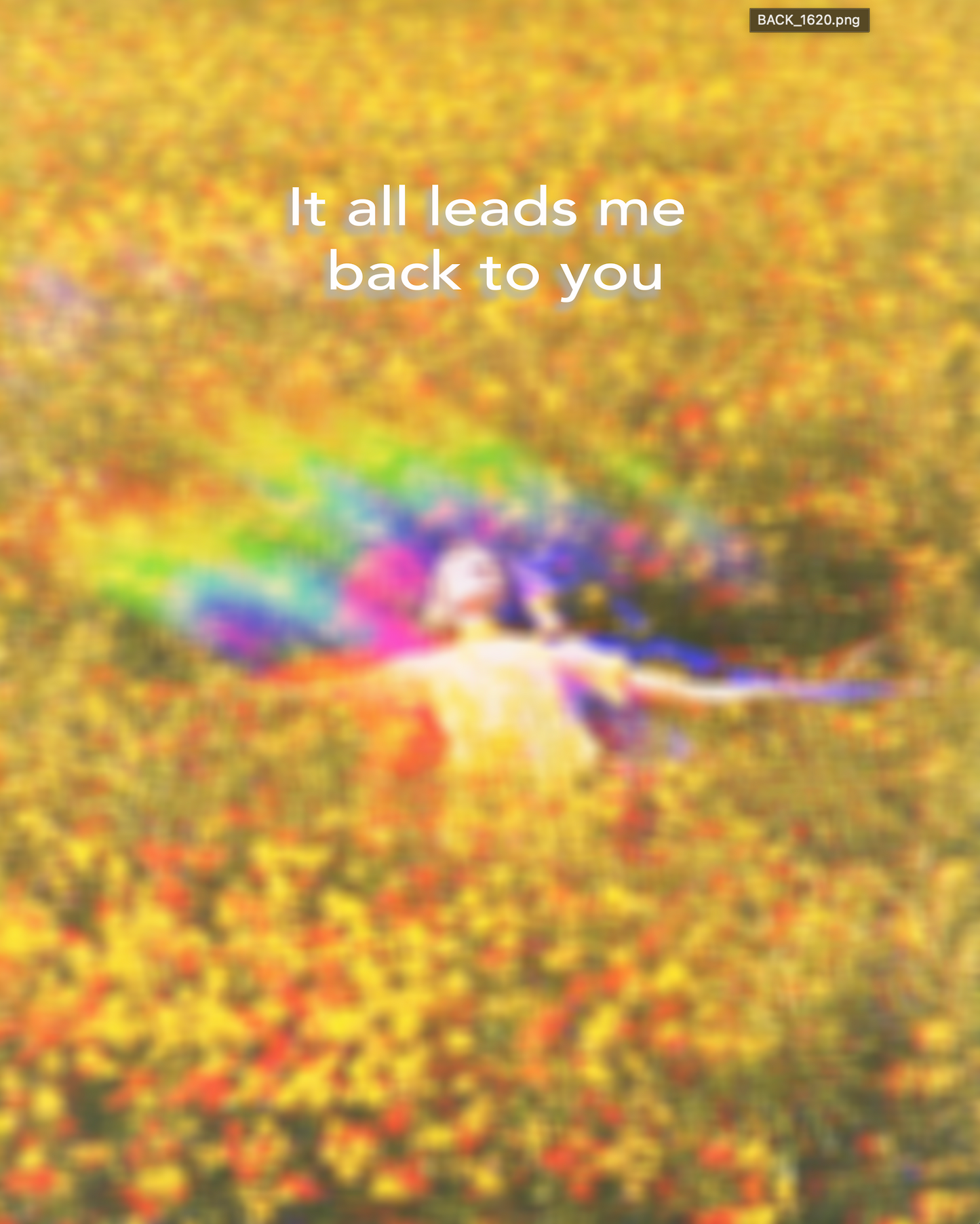 BaCK |