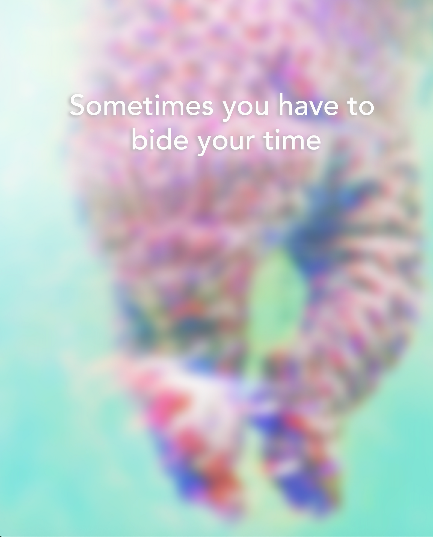 BiDe |